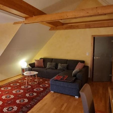 Apartment Mittelpunkt - Kaufmann Sankt Stefan ob Leoben Экстерьер фото